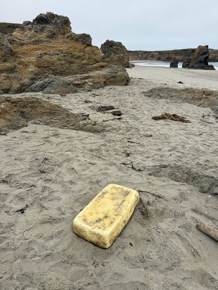 106 Interesting And Bizarre Things People Found At The Beach (New Pics)