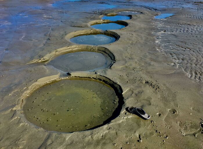 106 Interesting And Bizarre Things People Found At The Beach (New Pics)