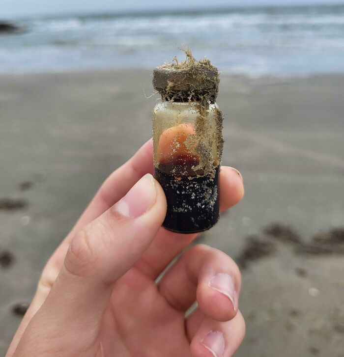 106 Interesting And Bizarre Things People Found At The Beach (New Pics)