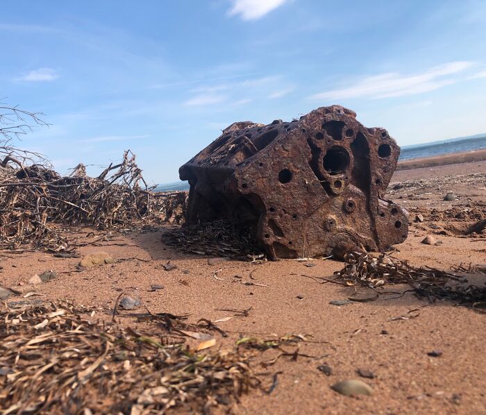 106 Interesting And Bizarre Things People Found At The Beach (New Pics)