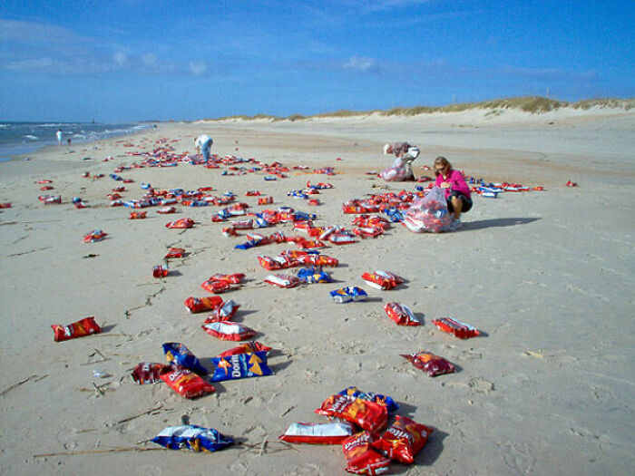 106 Interesting And Bizarre Things People Found At The Beach (New Pics)