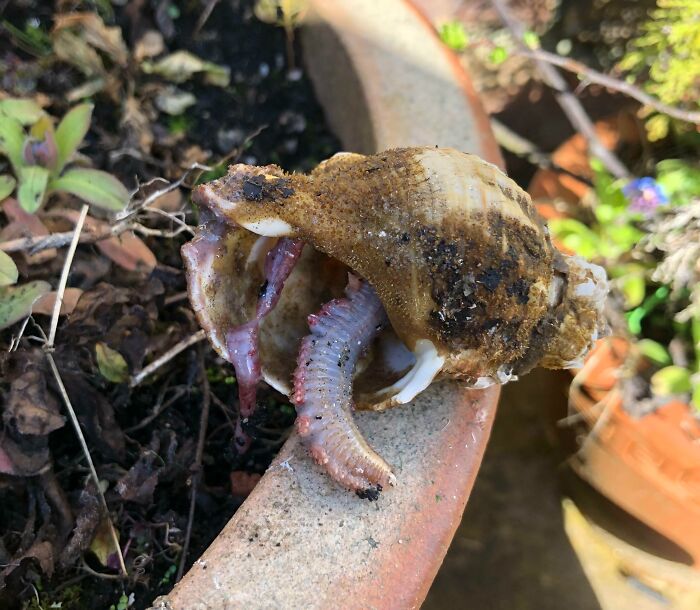 106 Interesting And Bizarre Things People Found At The Beach (New Pics)