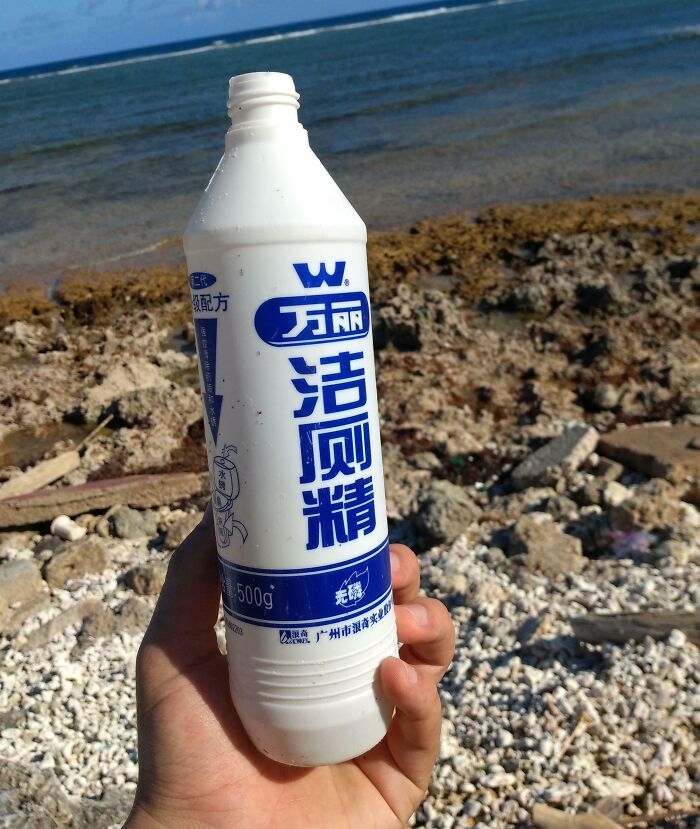 106 Interesting And Bizarre Things People Found At The Beach (New Pics)