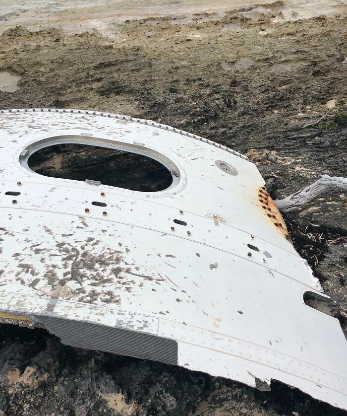 106 Interesting And Bizarre Things People Found At The Beach (New Pics)