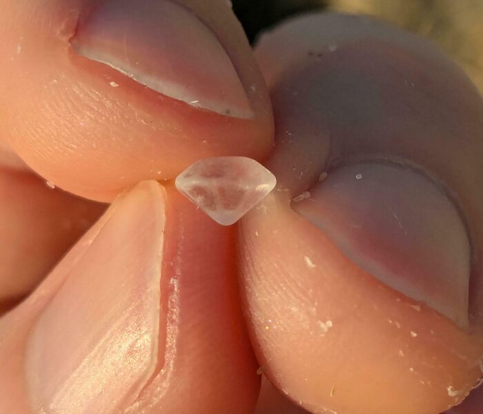106 Interesting And Bizarre Things People Found At The Beach (New Pics)
