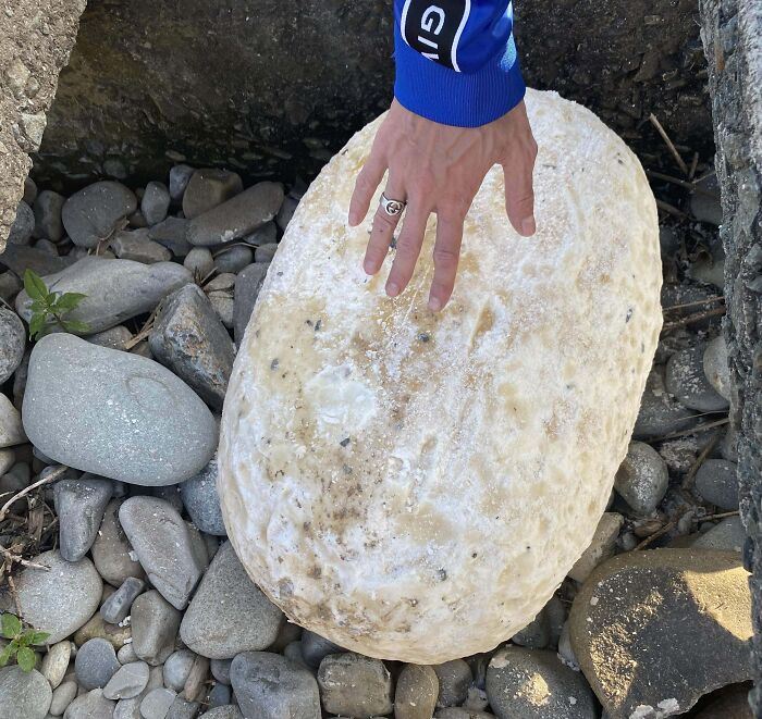 106 Interesting And Bizarre Things People Found At The Beach (New Pics)