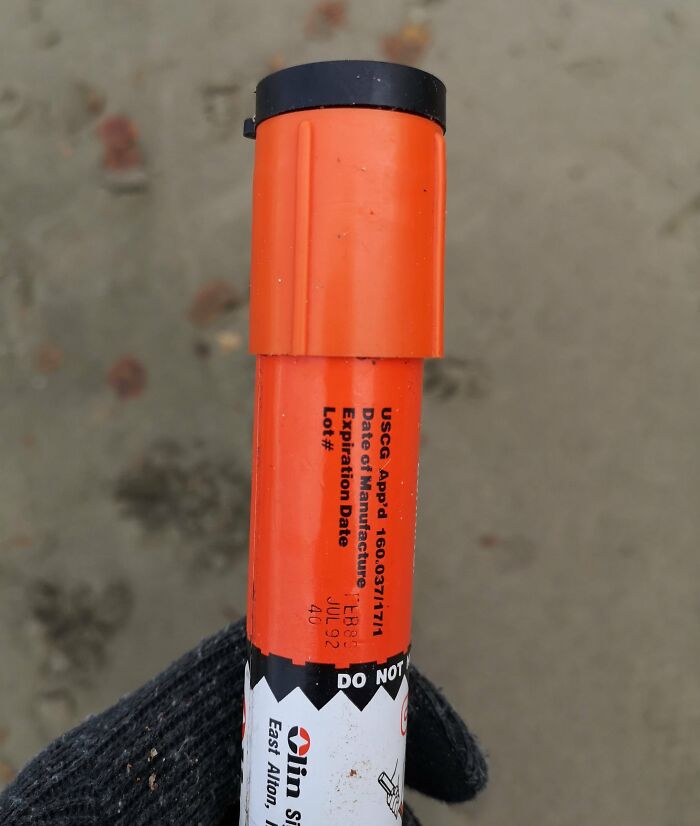 106 Interesting And Bizarre Things People Found At The Beach (New Pics)