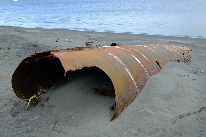 106 Interesting And Bizarre Things People Found At The Beach (New Pics)