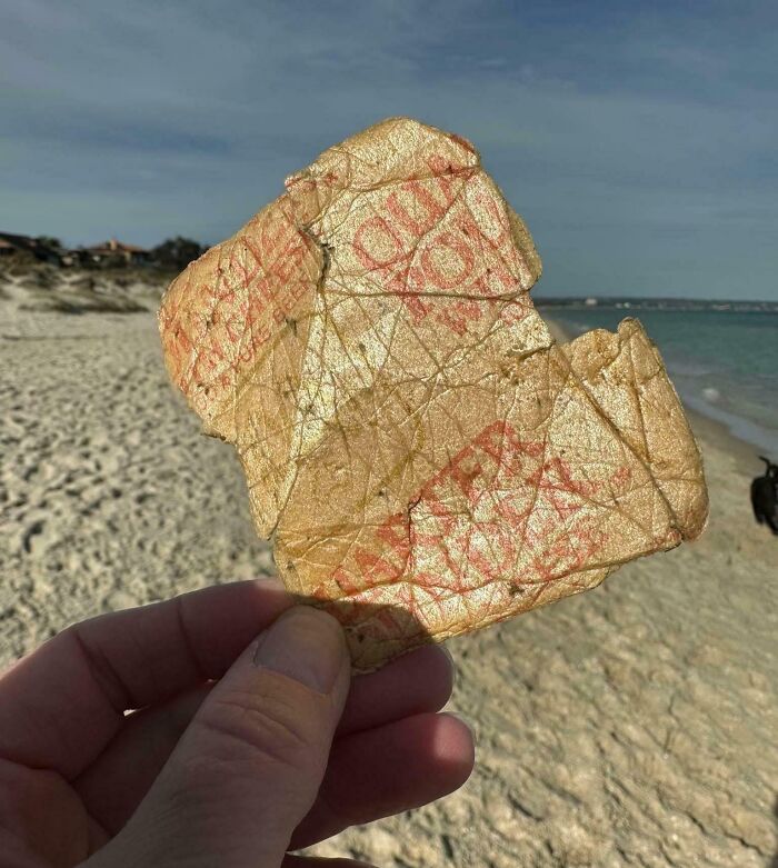 106 Interesting And Bizarre Things People Found At The Beach (New Pics)