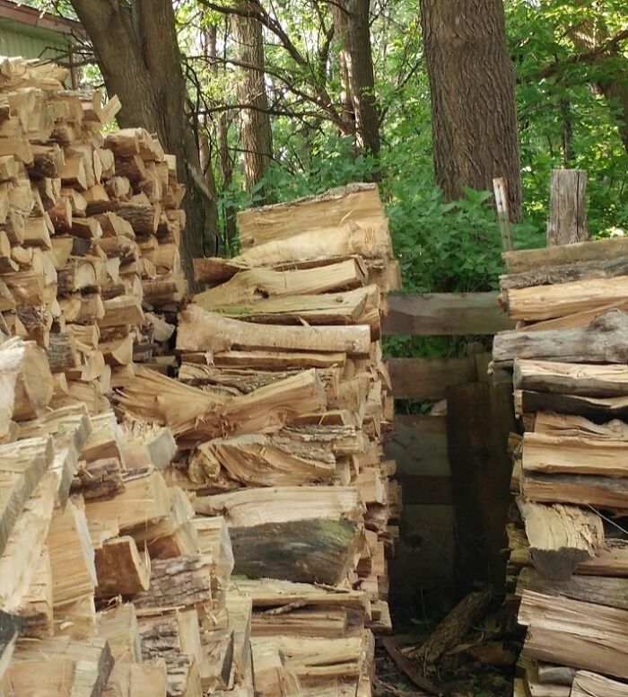 66 Things That Matched Their Surroundings So Well, People Had To Do A Double Take (New Pics)