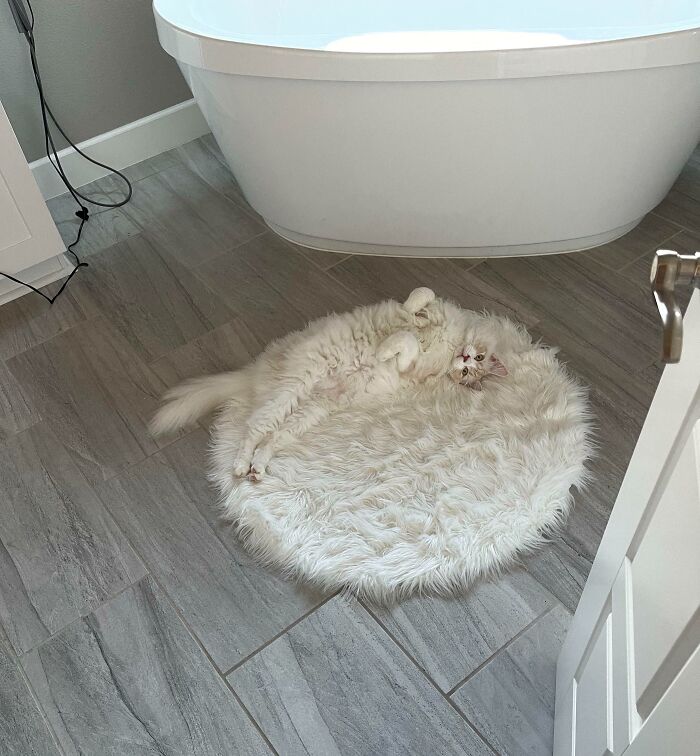 66 Things That Matched Their Surroundings So Well, People Had To Do A Double Take (New Pics)
