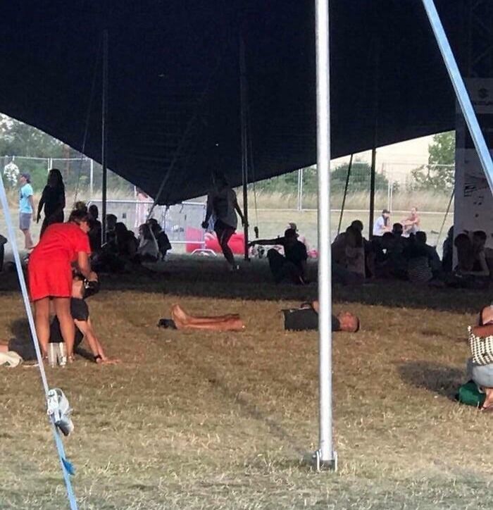 66 Things That Matched Their Surroundings So Well, People Had To Do A Double Take (New Pics)