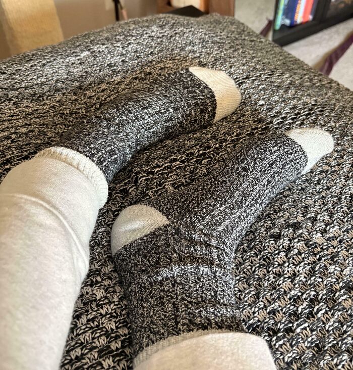 66 Things That Matched Their Surroundings So Well, People Had To Do A Double Take (New Pics)