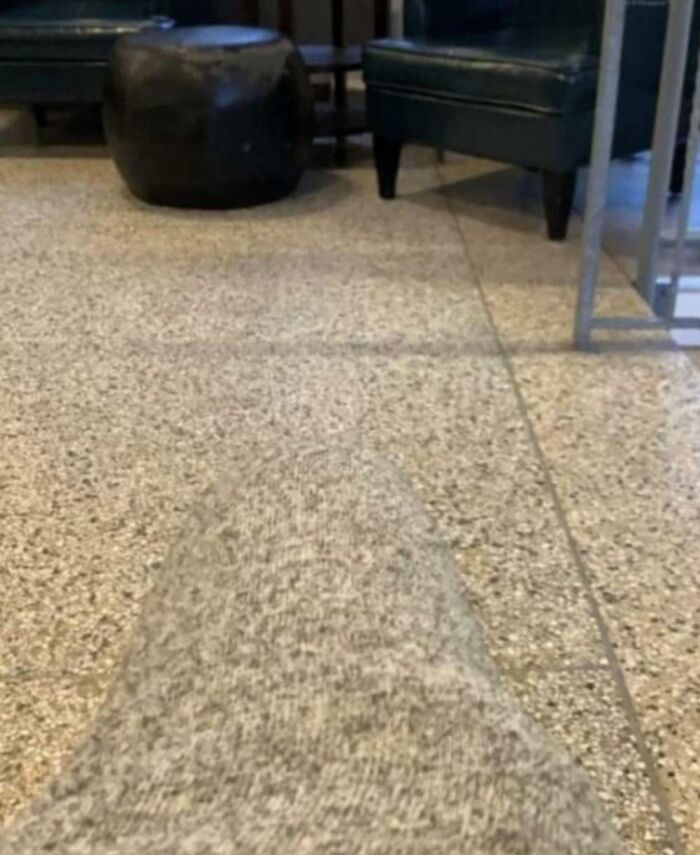 66 Things That Matched Their Surroundings So Well, People Had To Do A Double Take (New Pics)
