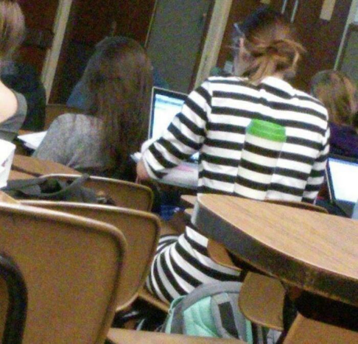 66 Things That Matched Their Surroundings So Well, People Had To Do A Double Take (New Pics)