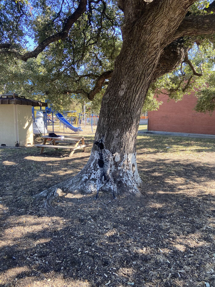 66 Things That Matched Their Surroundings So Well, People Had To Do A Double Take (New Pics)
