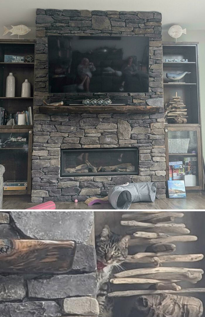 66 Things That Matched Their Surroundings So Well, People Had To Do A Double Take (New Pics)