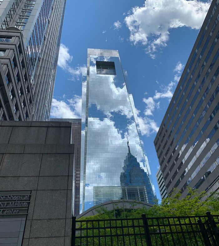 66 Things That Matched Their Surroundings So Well, People Had To Do A Double Take (New Pics)