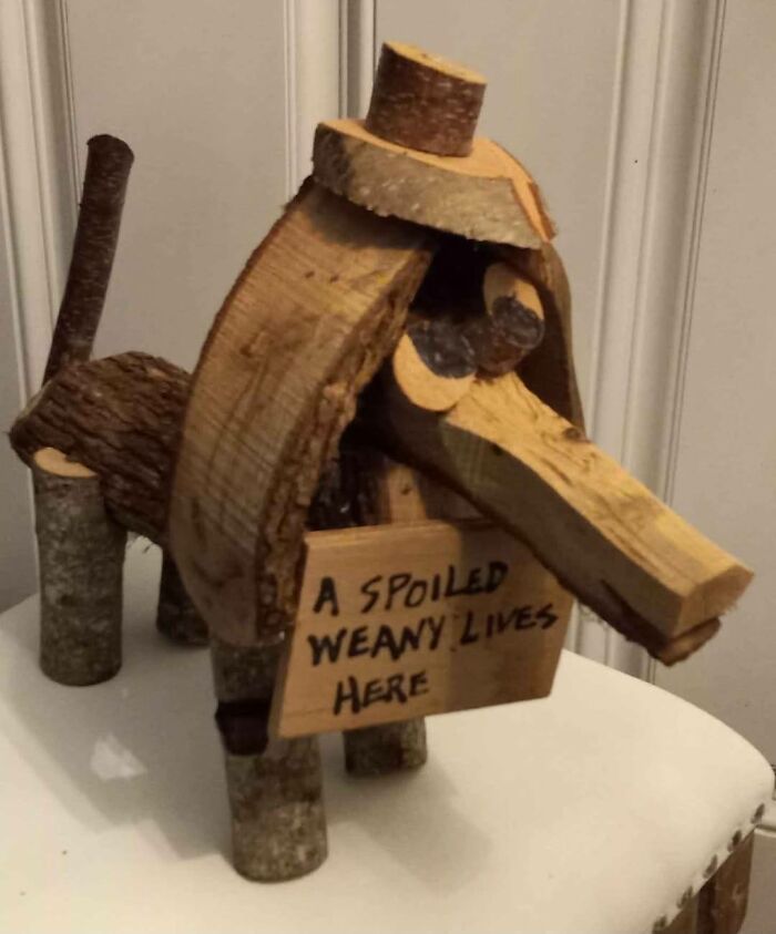 &#8220;That&#8217;s It, I&#8217;m Craft Shaming!&#8221;: 135 Horrendous DIY Projects That Need To Be Shamed (New Pics)