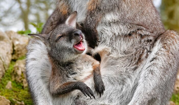 60 Stunning Photos Capturing Nature, People, And Life Around The World