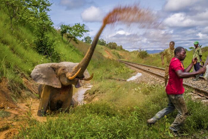 60 Stunning Photos Capturing Nature, People, And Life Around The World