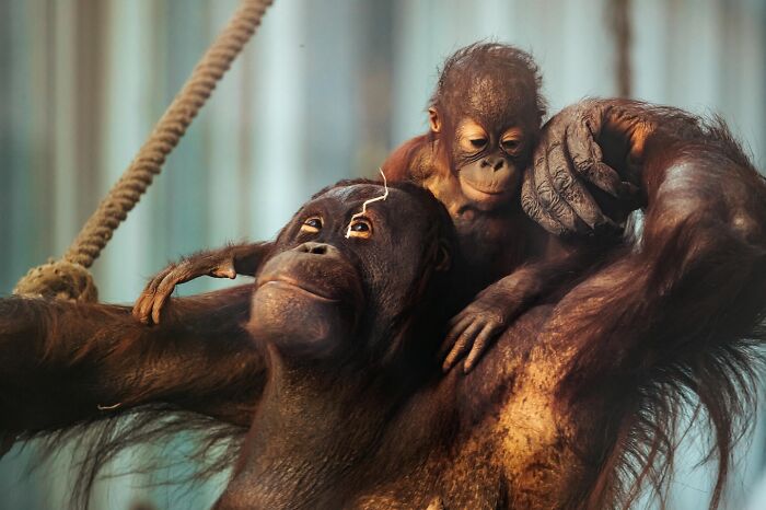 60 Stunning Photos Capturing Nature, People, And Life Around The World