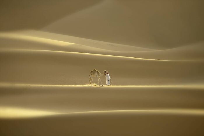 60 Stunning Photos Capturing Nature, People, And Life Around The World