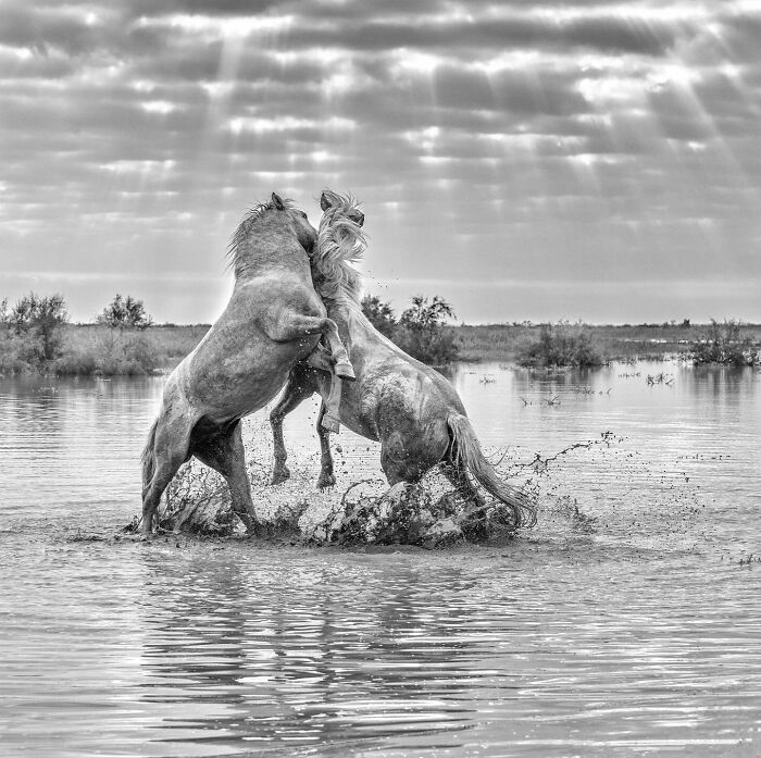 60 Stunning Photos Capturing Nature, People, And Life Around The World