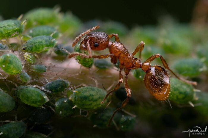 60 Stunning Photos Capturing Nature, People, And Life Around The World