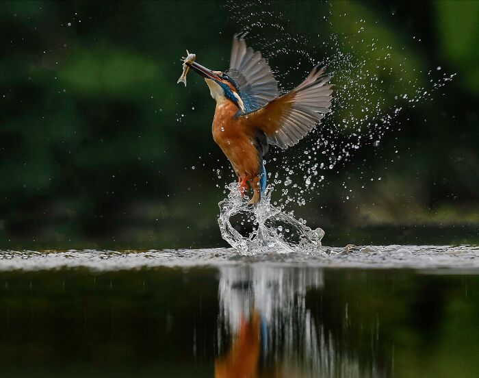 60 Stunning Photos Capturing Nature, People, And Life Around The World