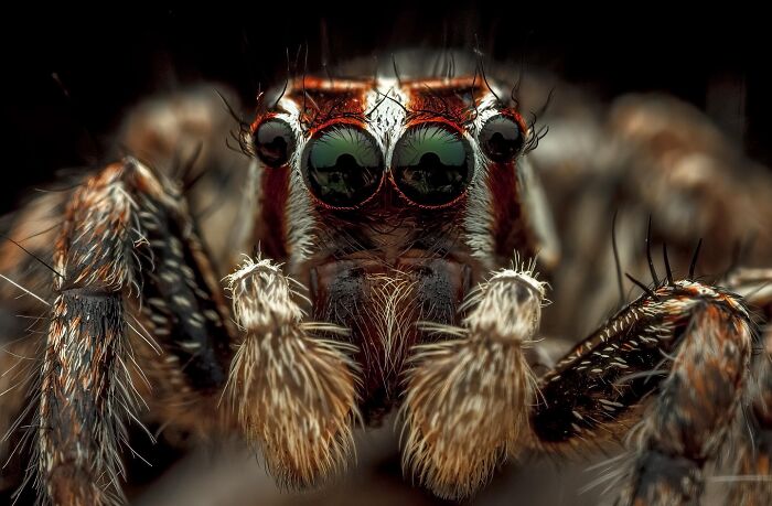 60 Stunning Photos Capturing Nature, People, And Life Around The World