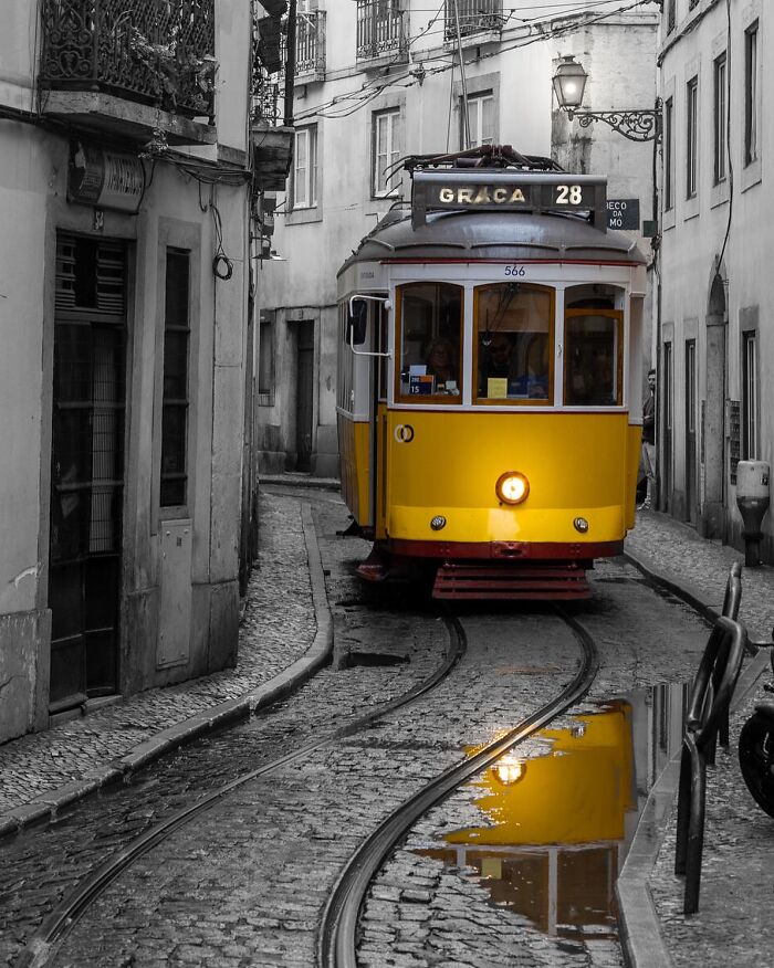 60 Stunning Photos Capturing Nature, People, And Life Around The World