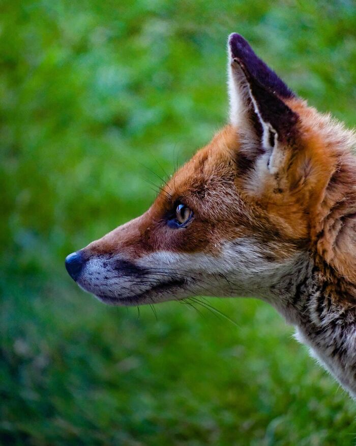 60 Stunning Photos Capturing Nature, People, And Life Around The World
