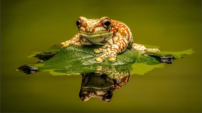 60 Stunning Photos Capturing Nature, People, And Life Around The World