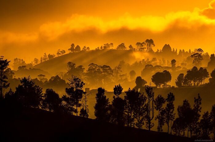 60 Stunning Photos Capturing Nature, People, And Life Around The World