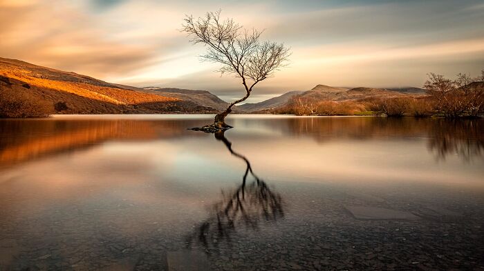 60 Stunning Photos Capturing Nature, People, And Life Around The World