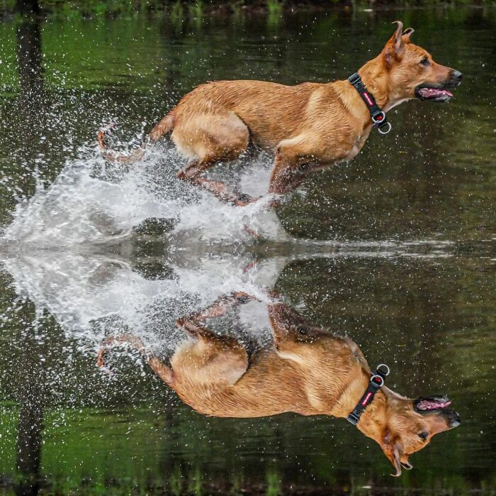 60 Stunning Photos Capturing Nature, People, And Life Around The World