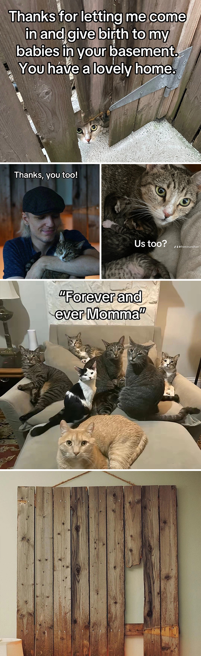 &#8220;Have A Great Life!&#8221;: 77 Of The Best Adoption Pics Ever