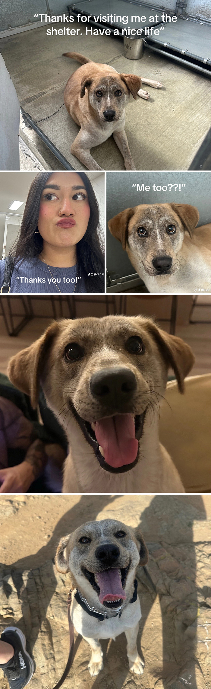 &#8220;Have A Great Life!&#8221;: 77 Of The Best Adoption Pics Ever