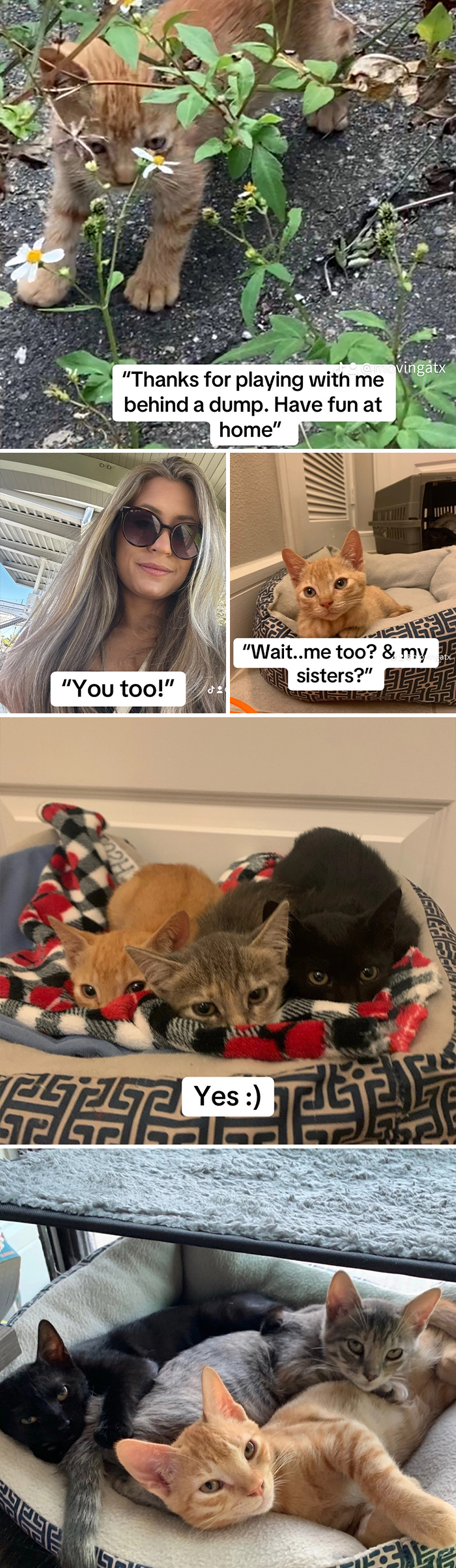 &#8220;Have A Great Life!&#8221;: 77 Of The Best Adoption Pics Ever