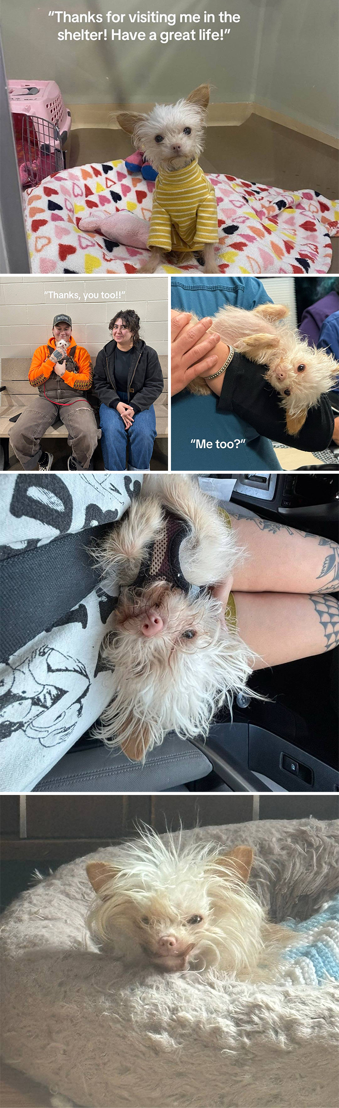 &#8220;Have A Great Life!&#8221;: 77 Of The Best Adoption Pics Ever