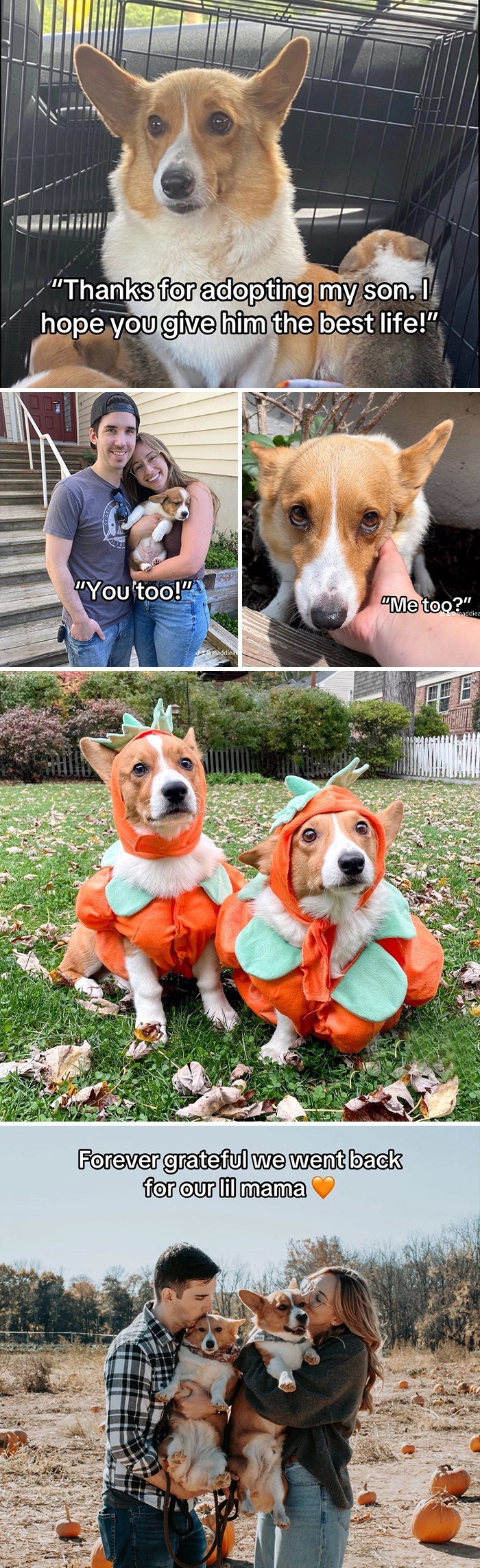 &#8220;Have A Great Life!&#8221;: 77 Of The Best Adoption Pics Ever