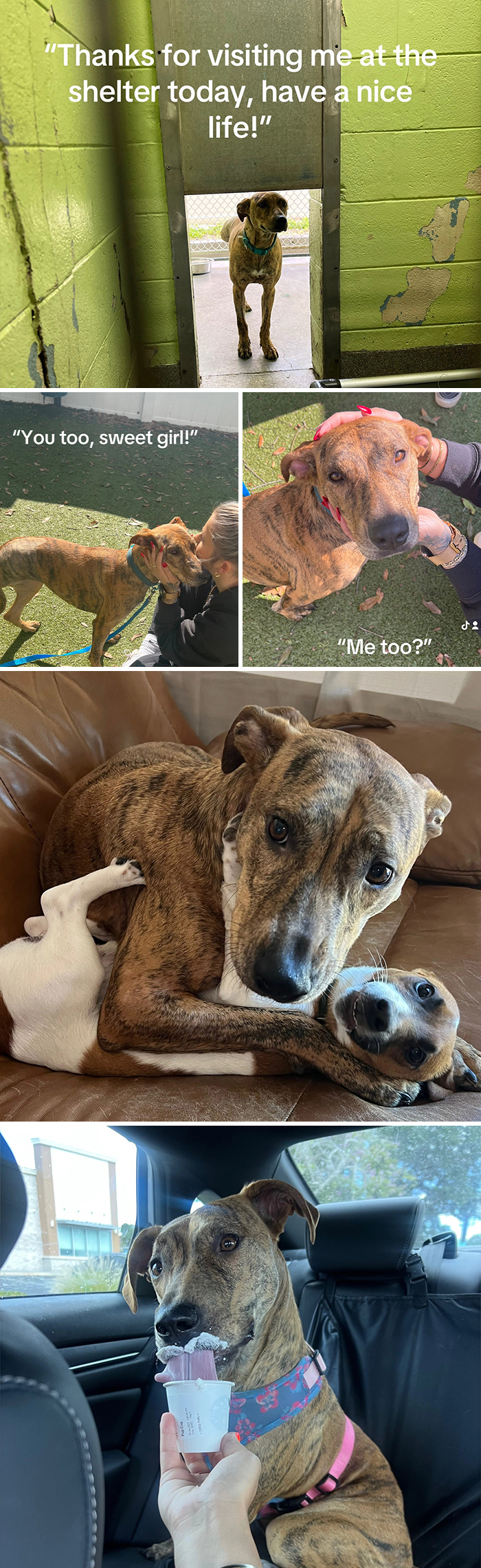 &#8220;Have A Great Life!&#8221;: 77 Of The Best Adoption Pics Ever