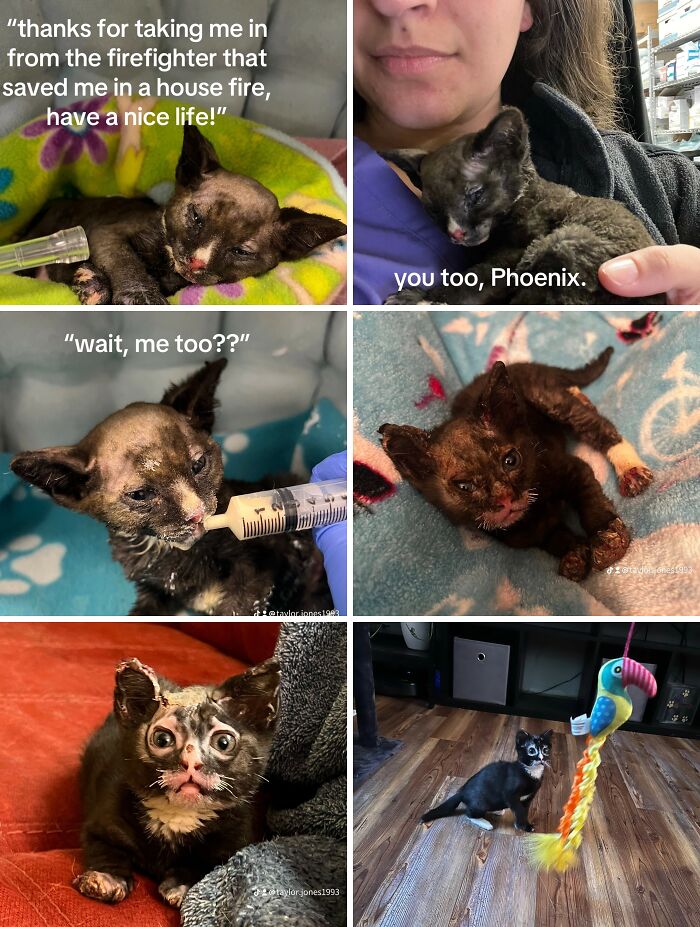 &#8220;Have A Great Life!&#8221;: 77 Of The Best Adoption Pics Ever