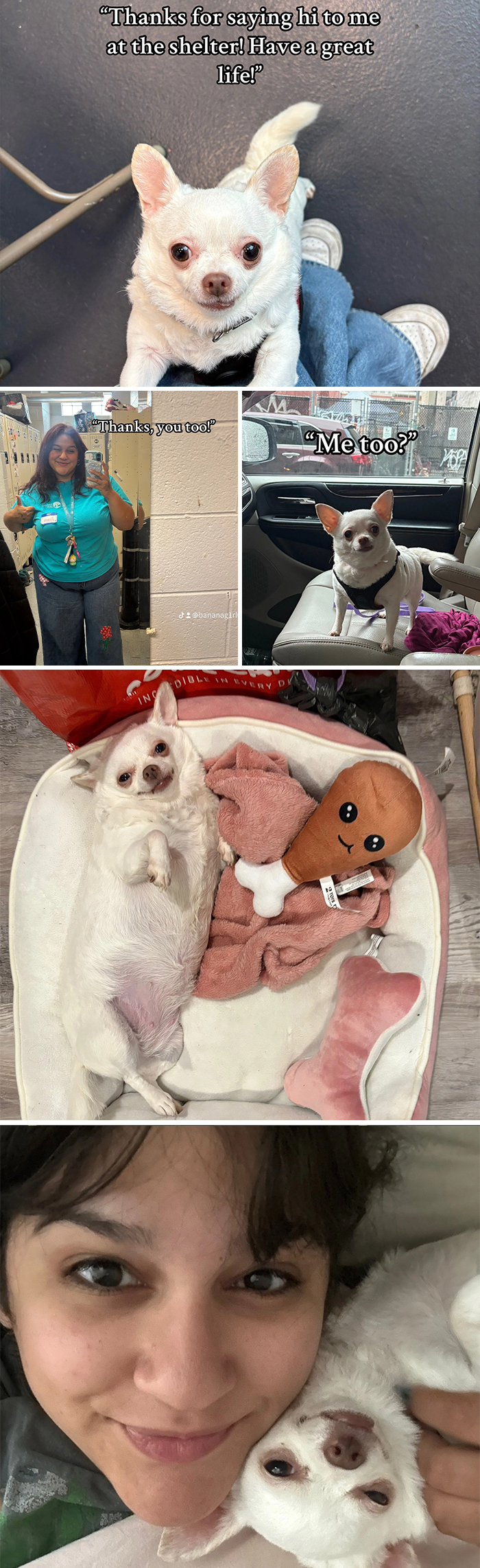 &#8220;Have A Great Life!&#8221;: 77 Of The Best Adoption Pics Ever