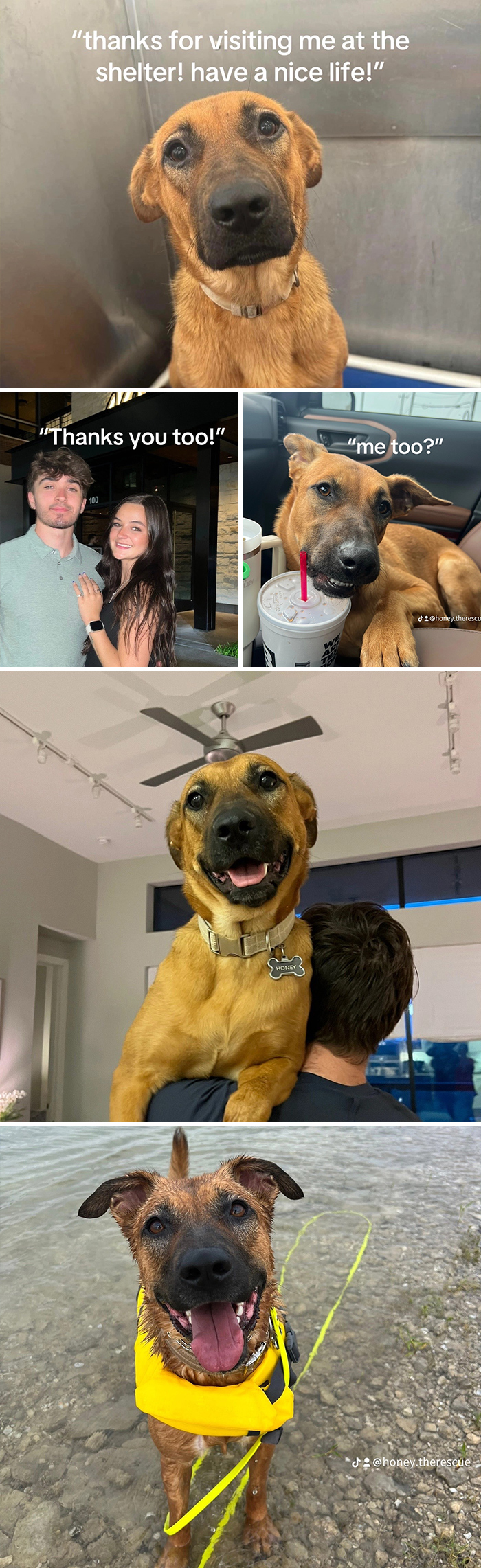 &#8220;Have A Great Life!&#8221;: 77 Of The Best Adoption Pics Ever