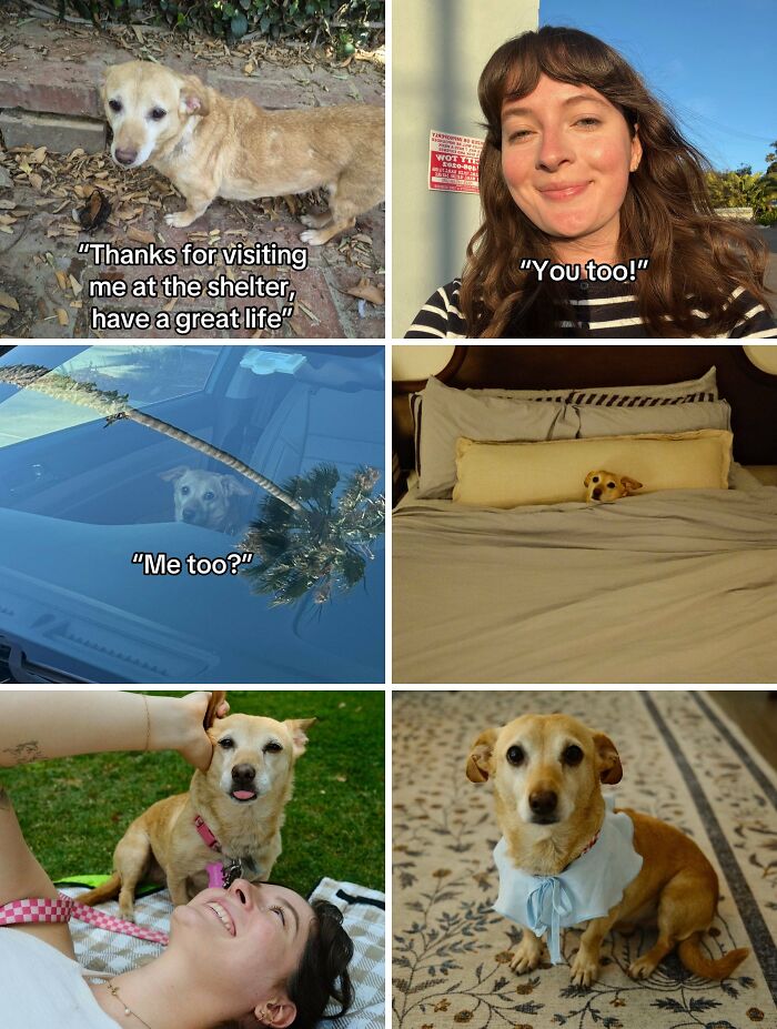 &#8220;Have A Great Life!&#8221;: 77 Of The Best Adoption Pics Ever