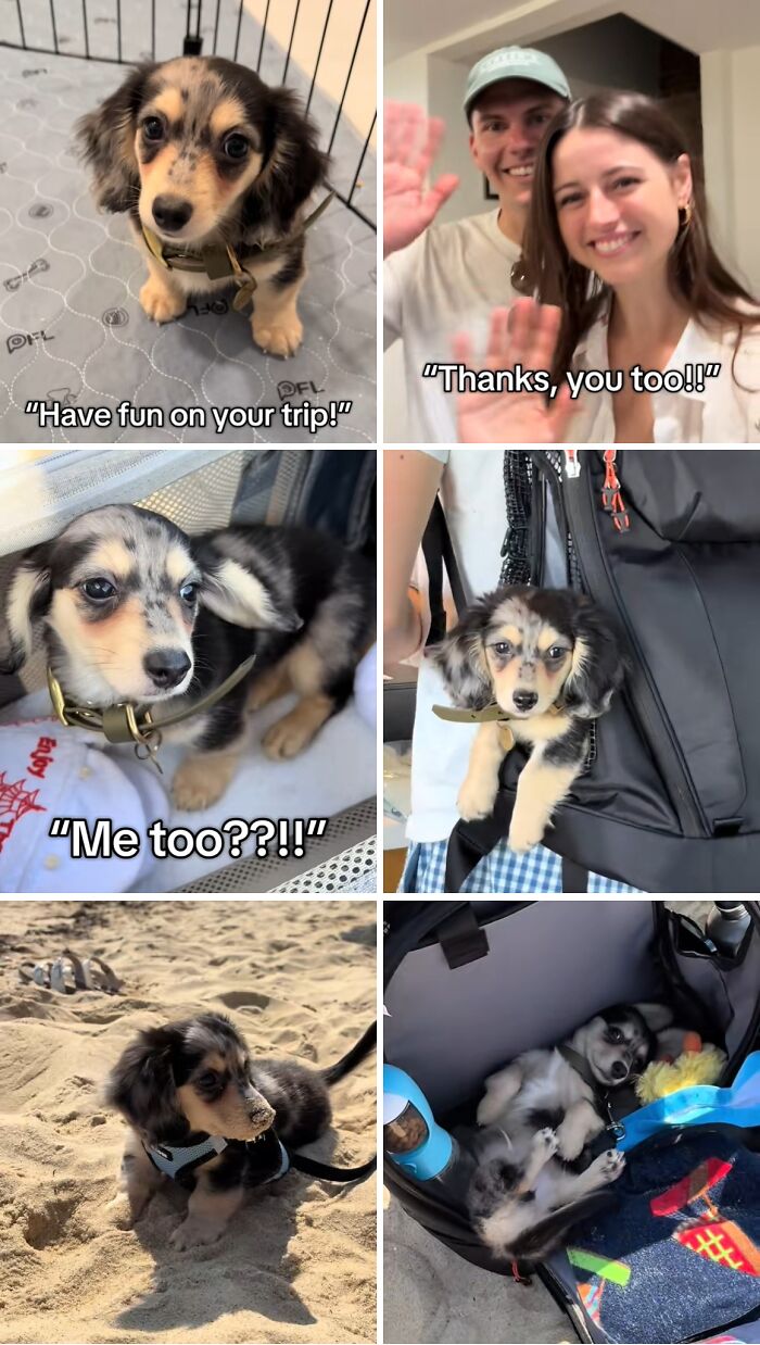 &#8220;Have A Great Life!&#8221;: 77 Of The Best Adoption Pics Ever