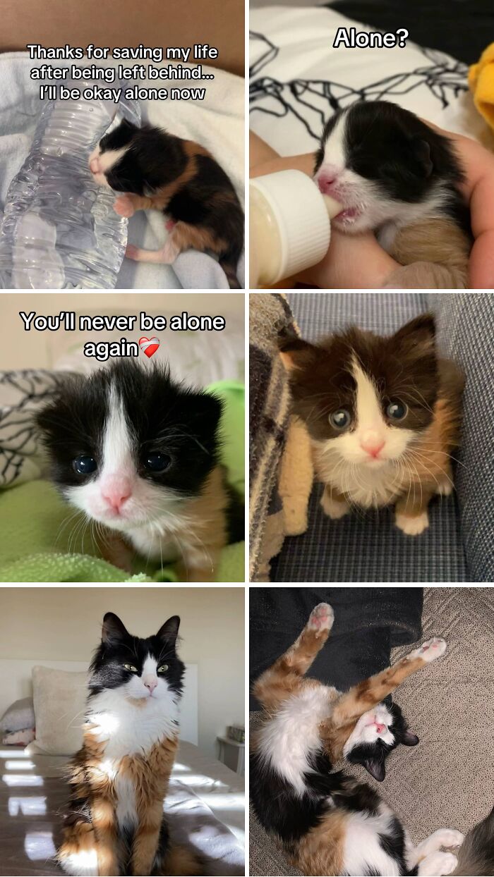 &#8220;Have A Great Life!&#8221;: 77 Of The Best Adoption Pics Ever