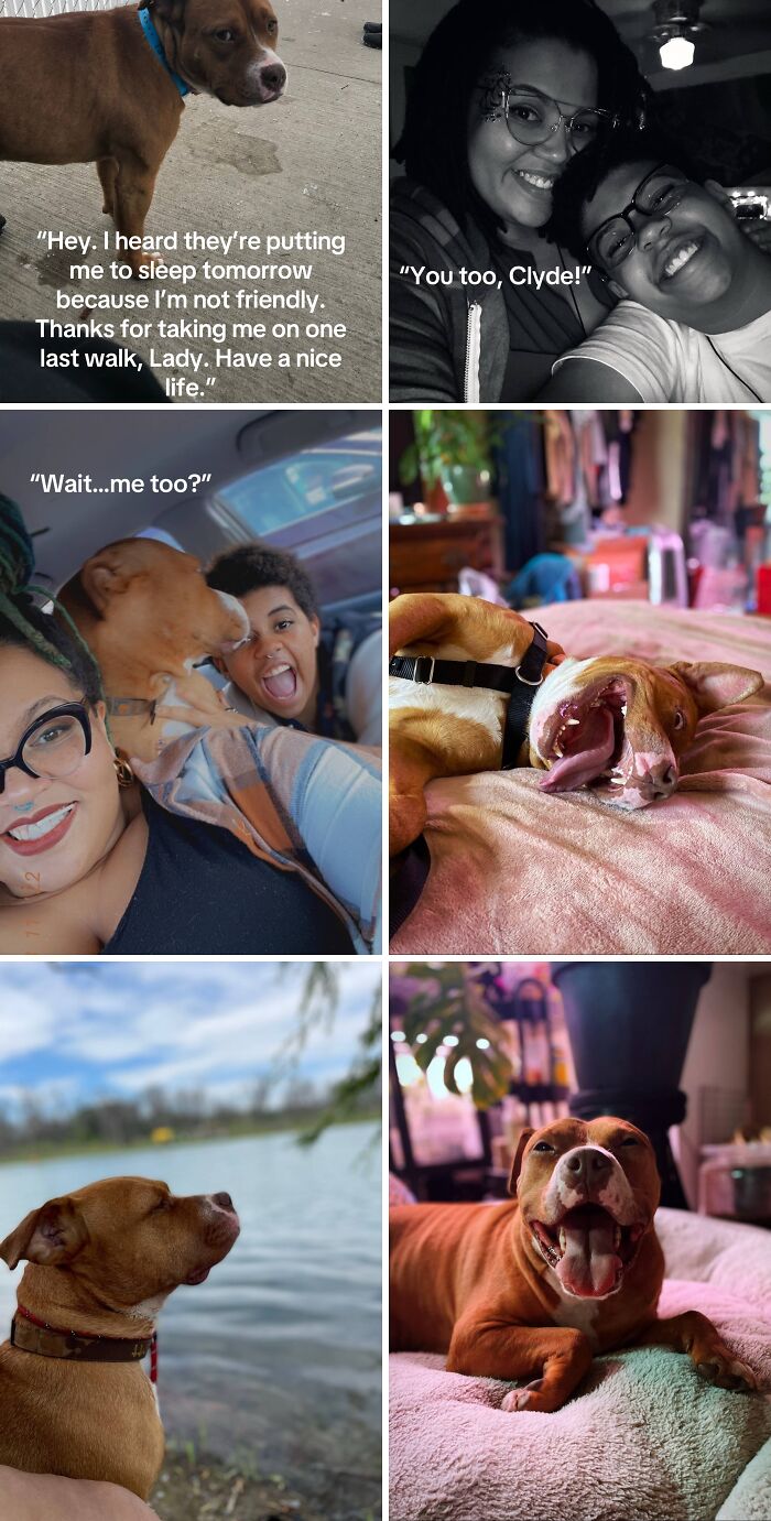 &#8220;Have A Great Life!&#8221;: 77 Of The Best Adoption Pics Ever